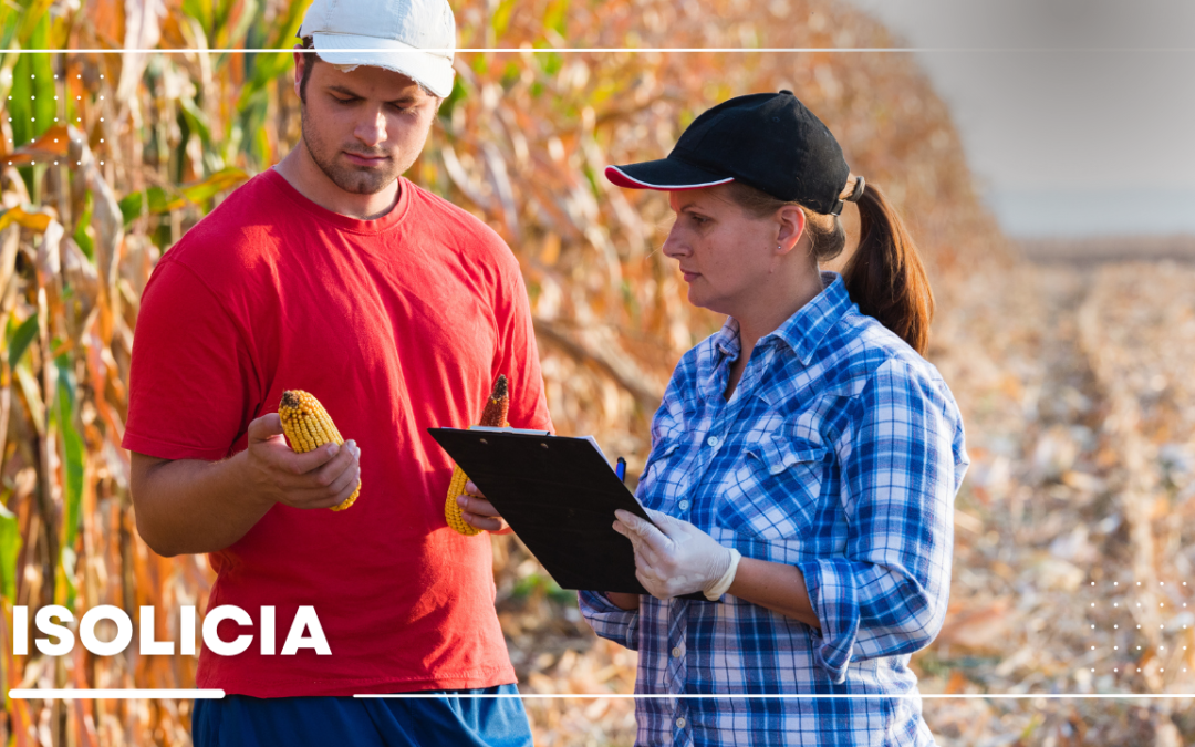 Enforcing Quality Standards When Importing Food from the US