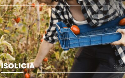 Unlocking Unique Flavors with US-Imported Goods